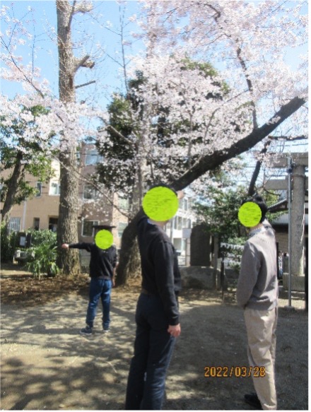 お花見の様子