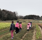 楽しそうに農業体験をしている様子